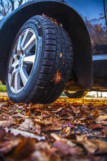 Car driving on a street covered with leaves