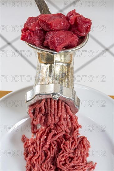 Meat-grinder