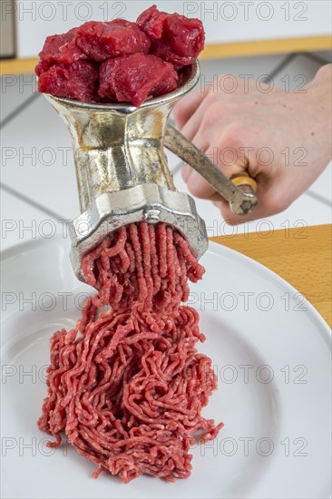 Meat-grinder