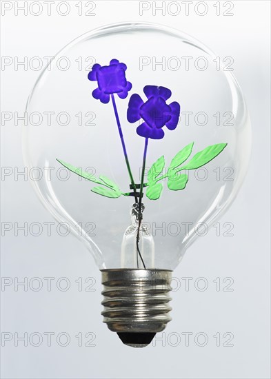 Lightbulb with violets