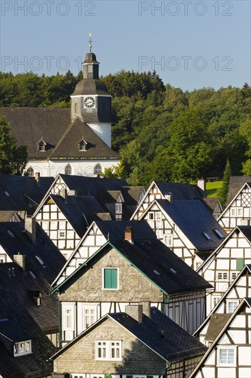 Half-timbered houses