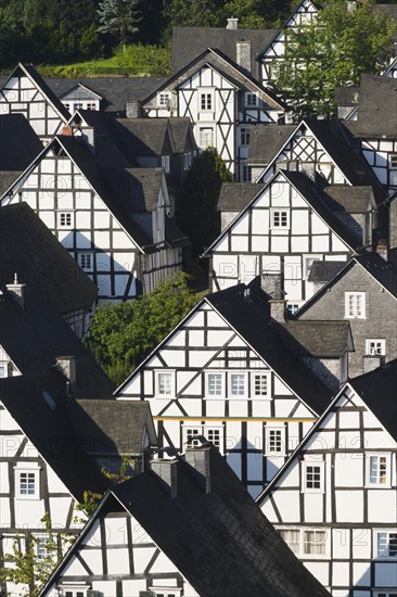 Half-timbered houses