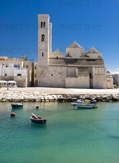 Fishing boats in the harbor