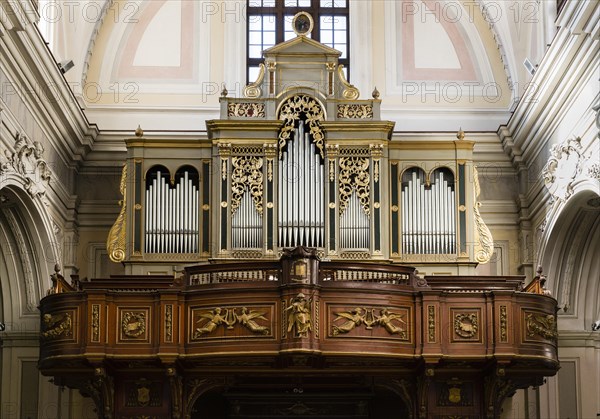 Organ