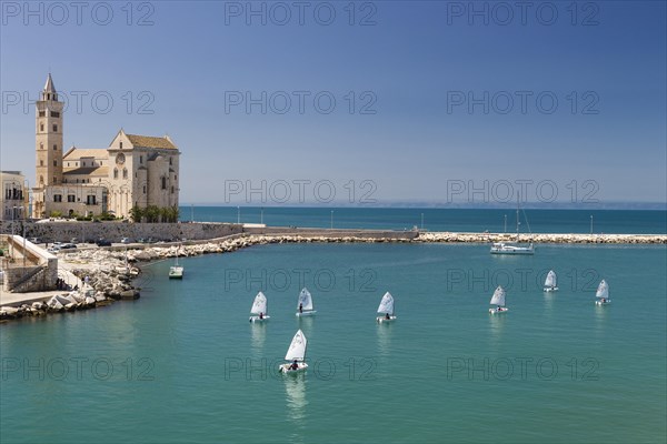 Sailing school in the harbor with Trani Cathedral