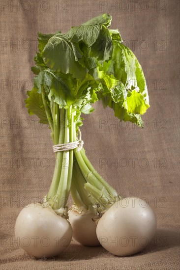 Turnips