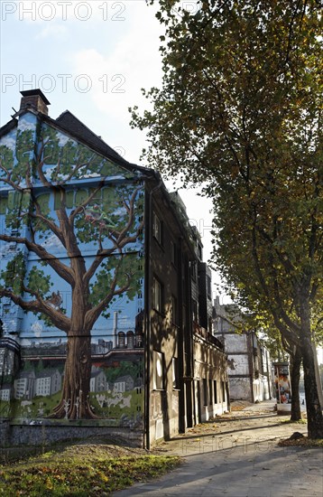 House with a mural of a tree beside a tree-lined avenue