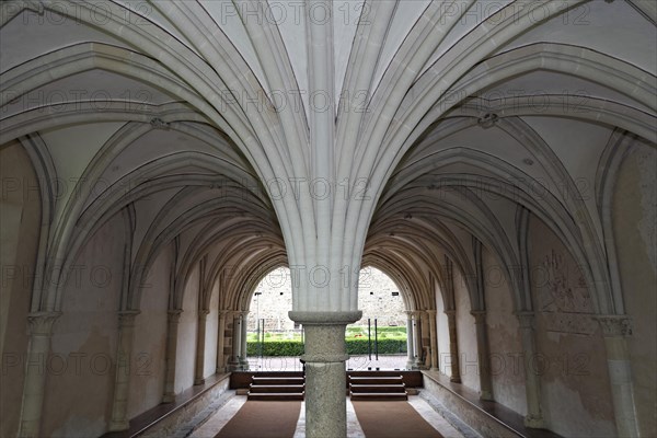 Column with palm-shaped vault pillar