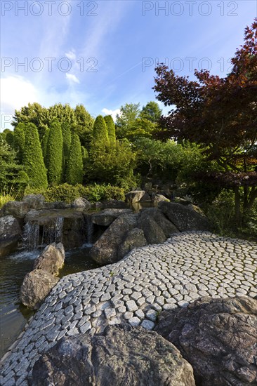 Japanese garden