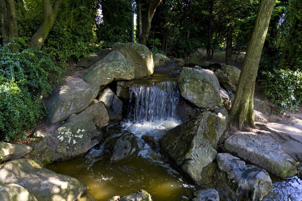 Japanese garden