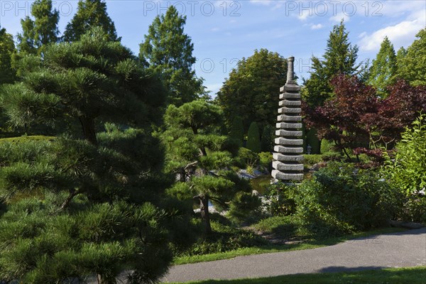 Japanese garden