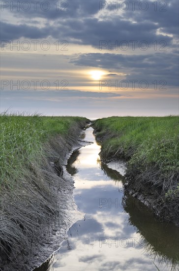 Ditch for the reclamation of land on the North Sea coast