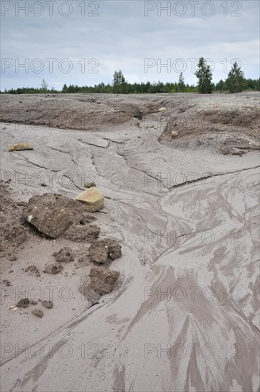 Landscape in a former open-cast mine near Finsterwalde