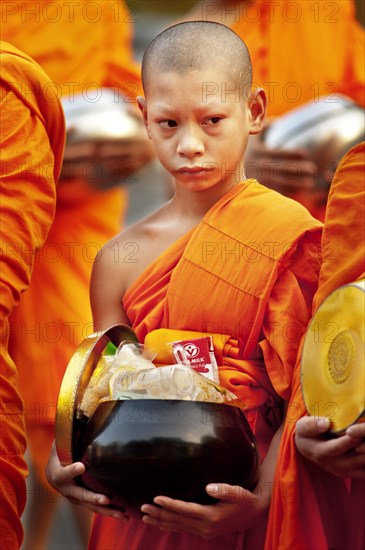 Monks walking in the street in the early morning tradition of gathering alms in Chiang Mai