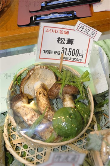 Matsutake