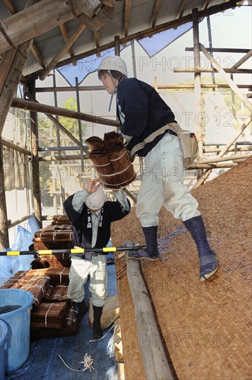 Soaked cypress bark is thrown to the top of the roof by a roofer with a hard hat