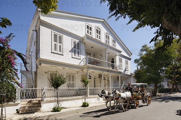 Horse-drawn carriage in front of a wooden mansion