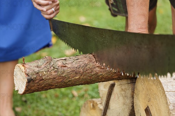 Couple sawing wood