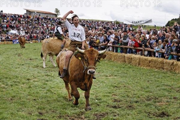 Evi Mair on the ox Malibu