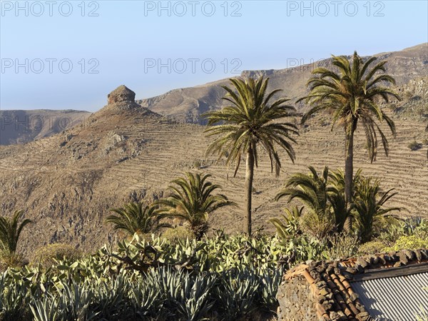 Roque del Sombrero