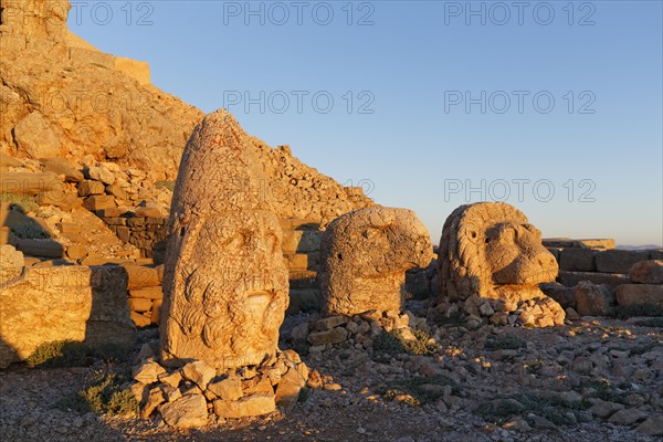 Heads of Herakles-Artagnes