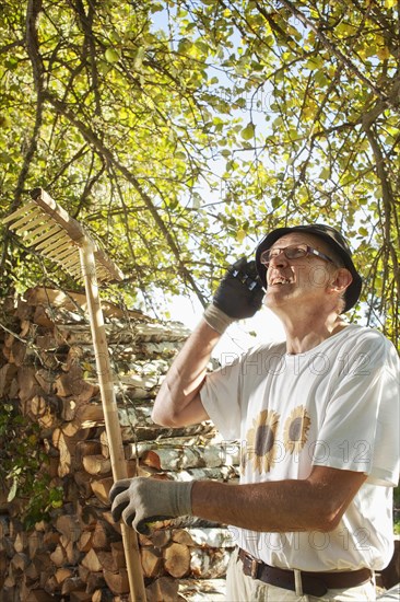 Man at the apple harvest