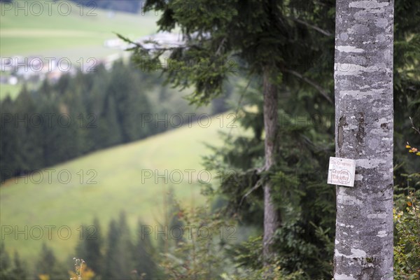 Memorial plaque on a tree near Fieberbrunn