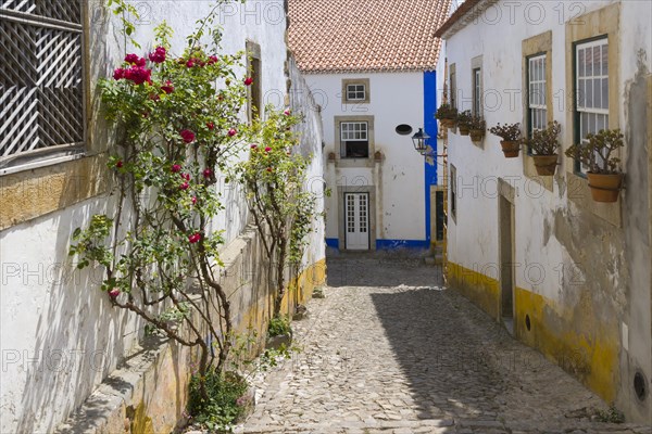 View from Rua Direita