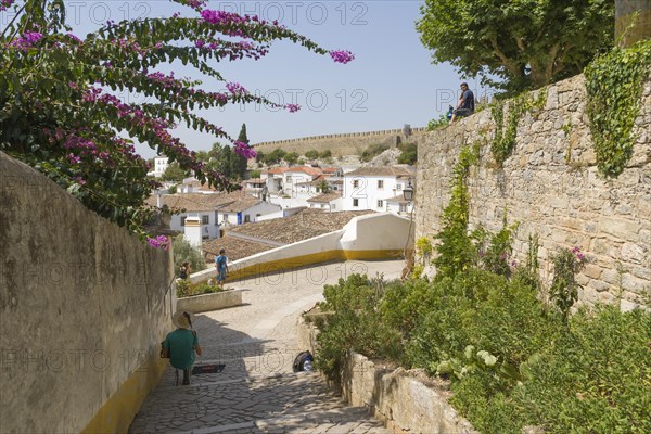 Cityscape from the Castelo de Obidos