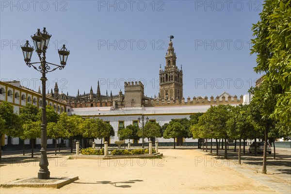 The Giralda