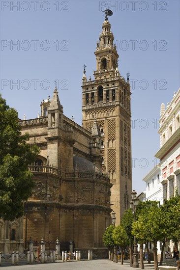 The Giralda