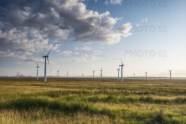 Mybster wind farm in the Scottish Highlands