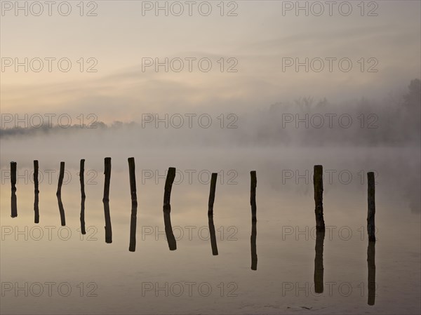 Piles in Kuhsee lake with fog