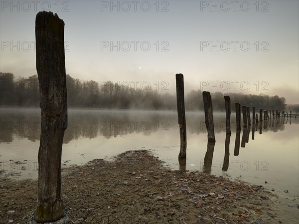 Piles in Kuhsee lake with fog