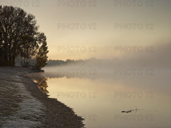 Early morning mood at Kuhsee lake with fog