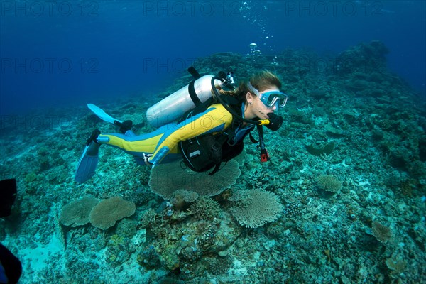 Scuba diver swimming in a coral reef