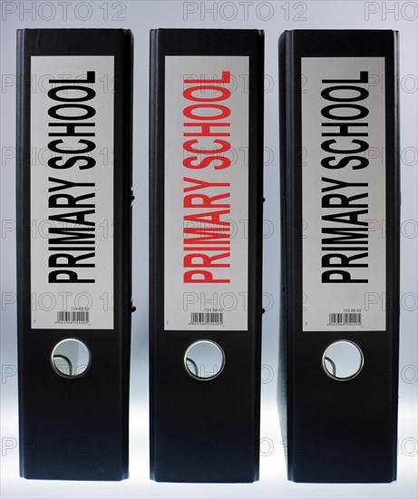 Three file folders labeled 'Primary School'