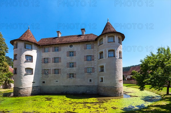Moated Castle of Glatt