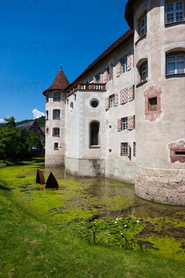 Moated Castle of Glatt