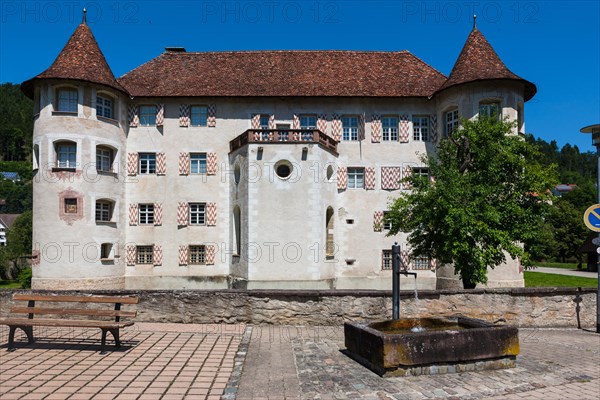 Moated Castle of Glatt