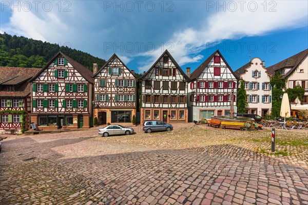 Half-timbered houses