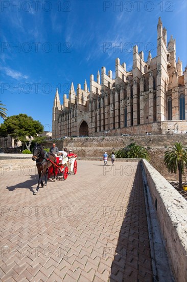 Horse-drawn carriage in front of La Seu Cathedral