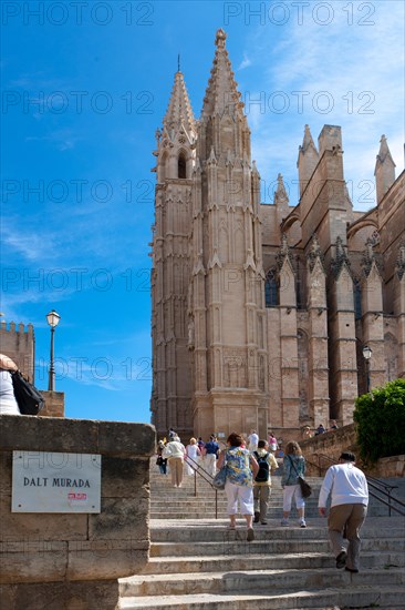 La Seu Cathedral