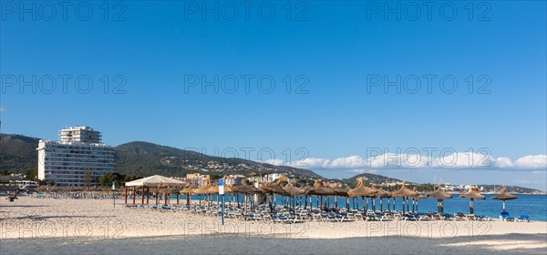 Section of beach near Palma Nova with sunbeds and hotels