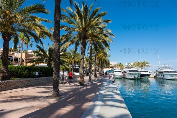 Exclusive marina of Puerto Portals