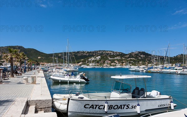 Harbour or marina of Puerto Andratx