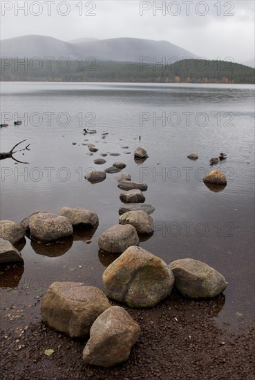 Loch Morlich