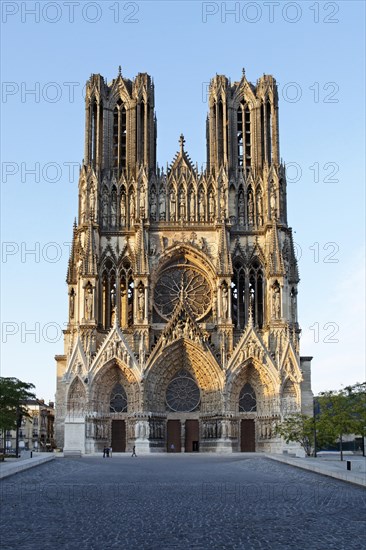 Cathedral of Notre Dame