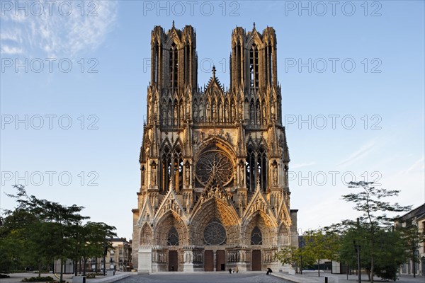 Cathedral of Notre Dame