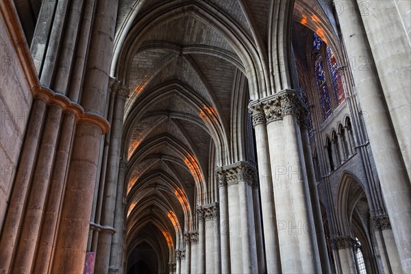 Cathedral of Notre Dame